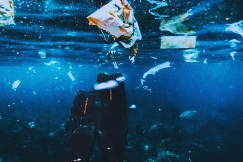 Plasticos Marinos