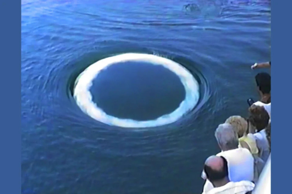Whale Bubbles