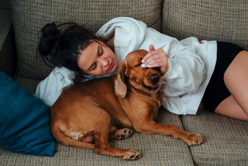 O que a psicologia revela quando alguém trata o cachorro como um filho