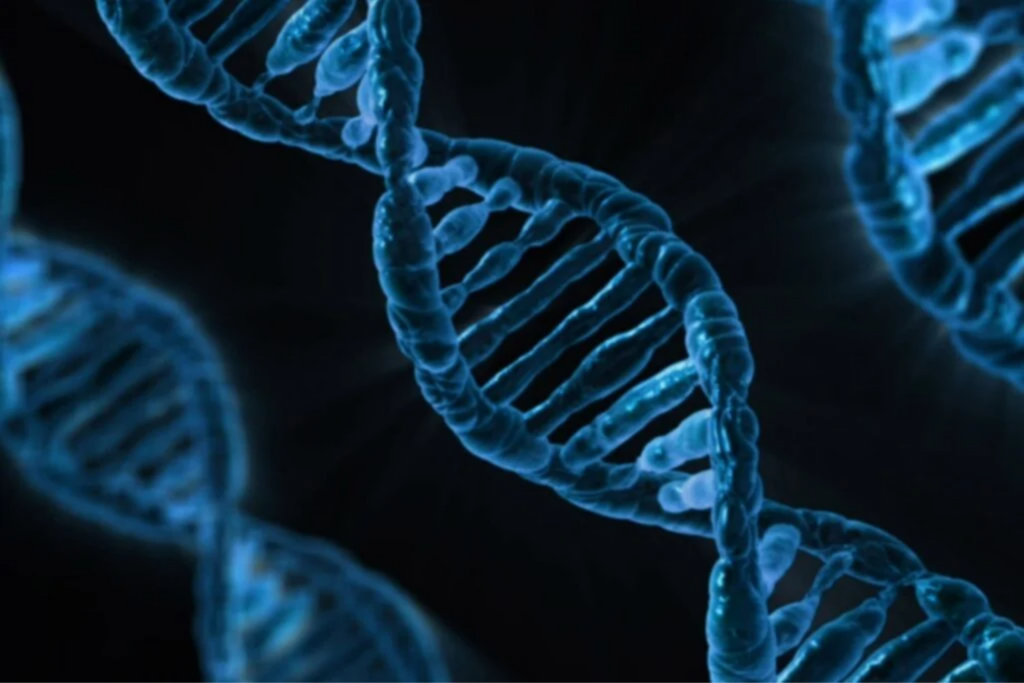 Você é O Seu Dna