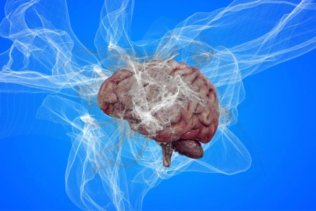 Acidente Vascular Cerebral (avc)