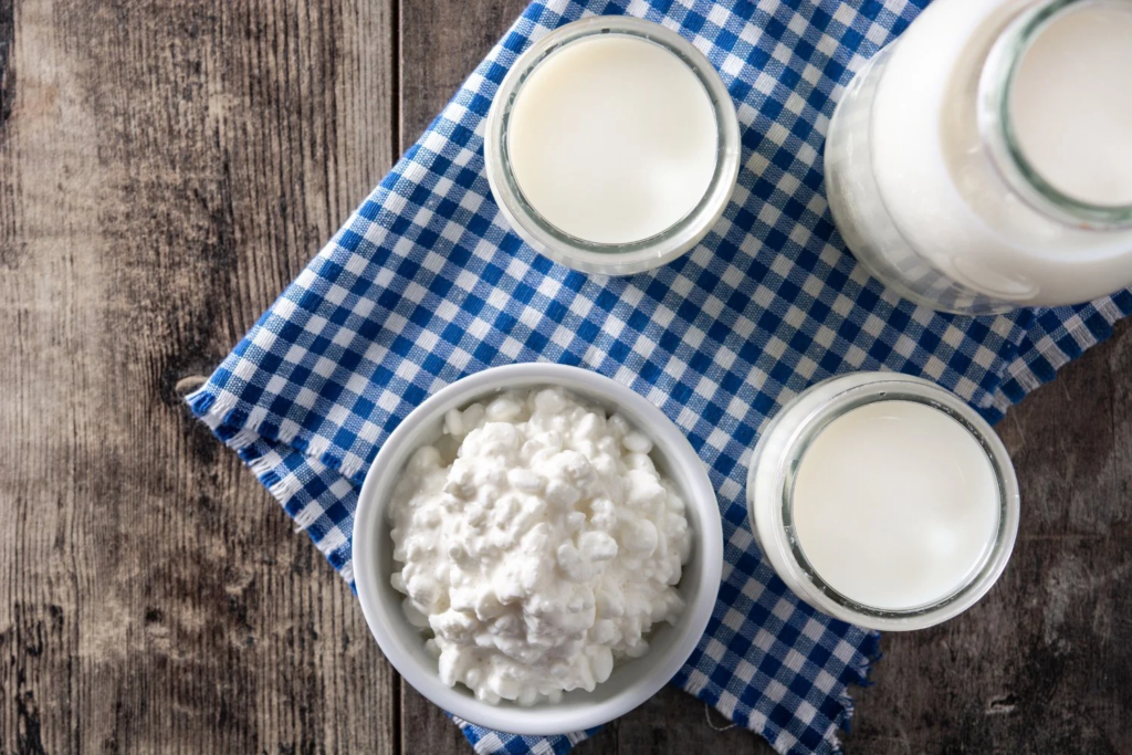 Kefir, A Kombucha E O Koji (2)