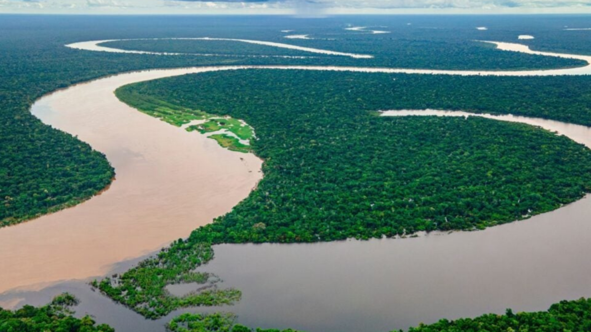 O rio mais profundo da Terra: o Congo atinge 220 metros, abriga mais de ...