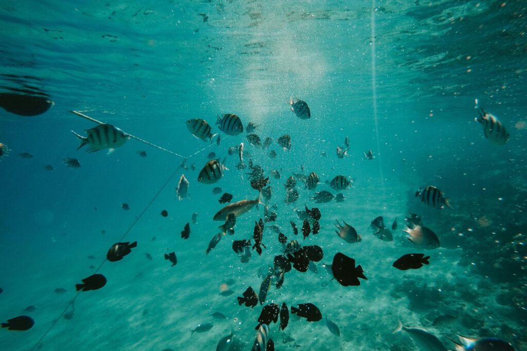 Mistério a 4.000 metros: cientistas descobrem o oxigênio negro