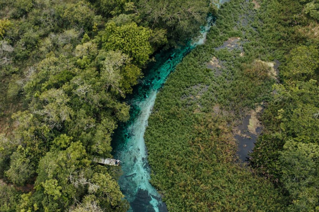 “Barco voador” criado no Amazonas pode mudar o transporte na Amazônia