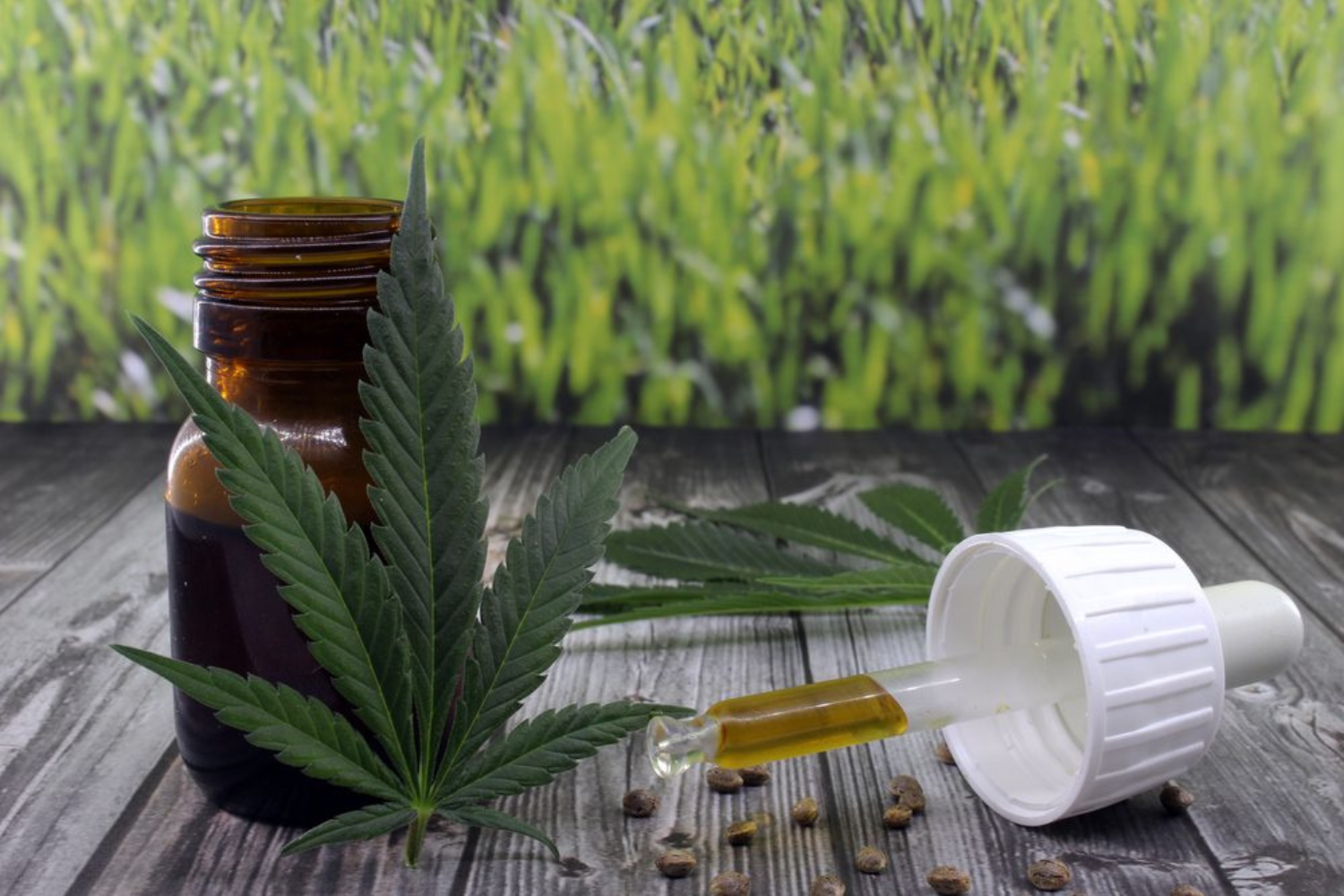 Aceite Canabis