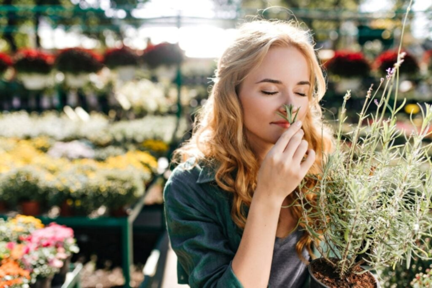 Cheirar Não é Sentir