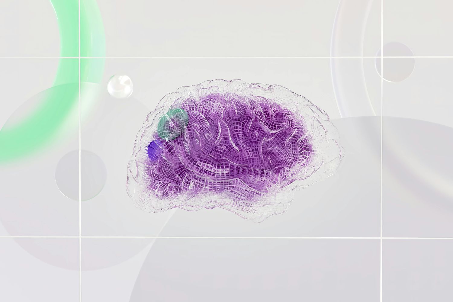 Novo mapa celular revela como o cérebro humano se forma