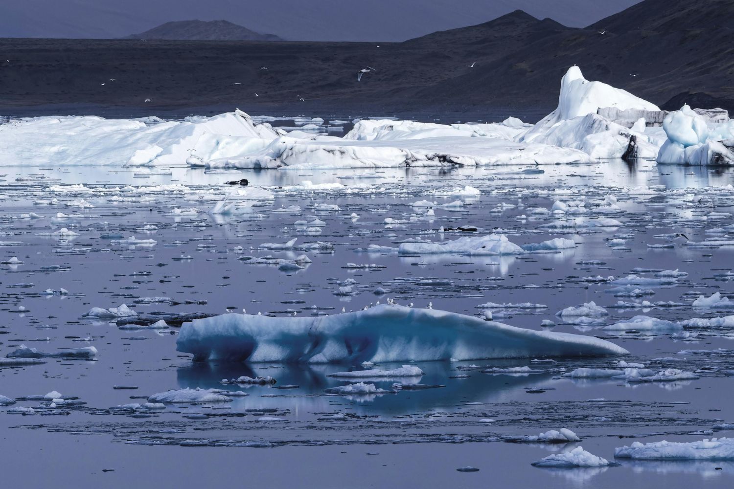 Calor extremo e clima doido: 94% dos brasileiros dizem sentir os efeitos das mudanças climáticas