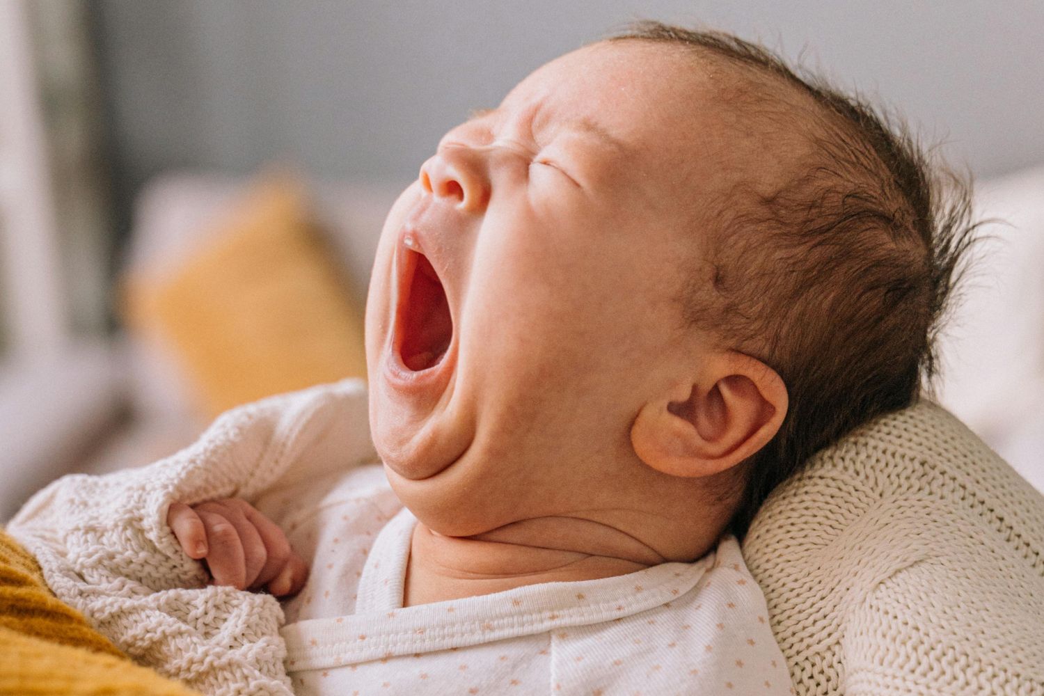 Por que bocejamos de verdade? A ciência tem uma resposta inesperada