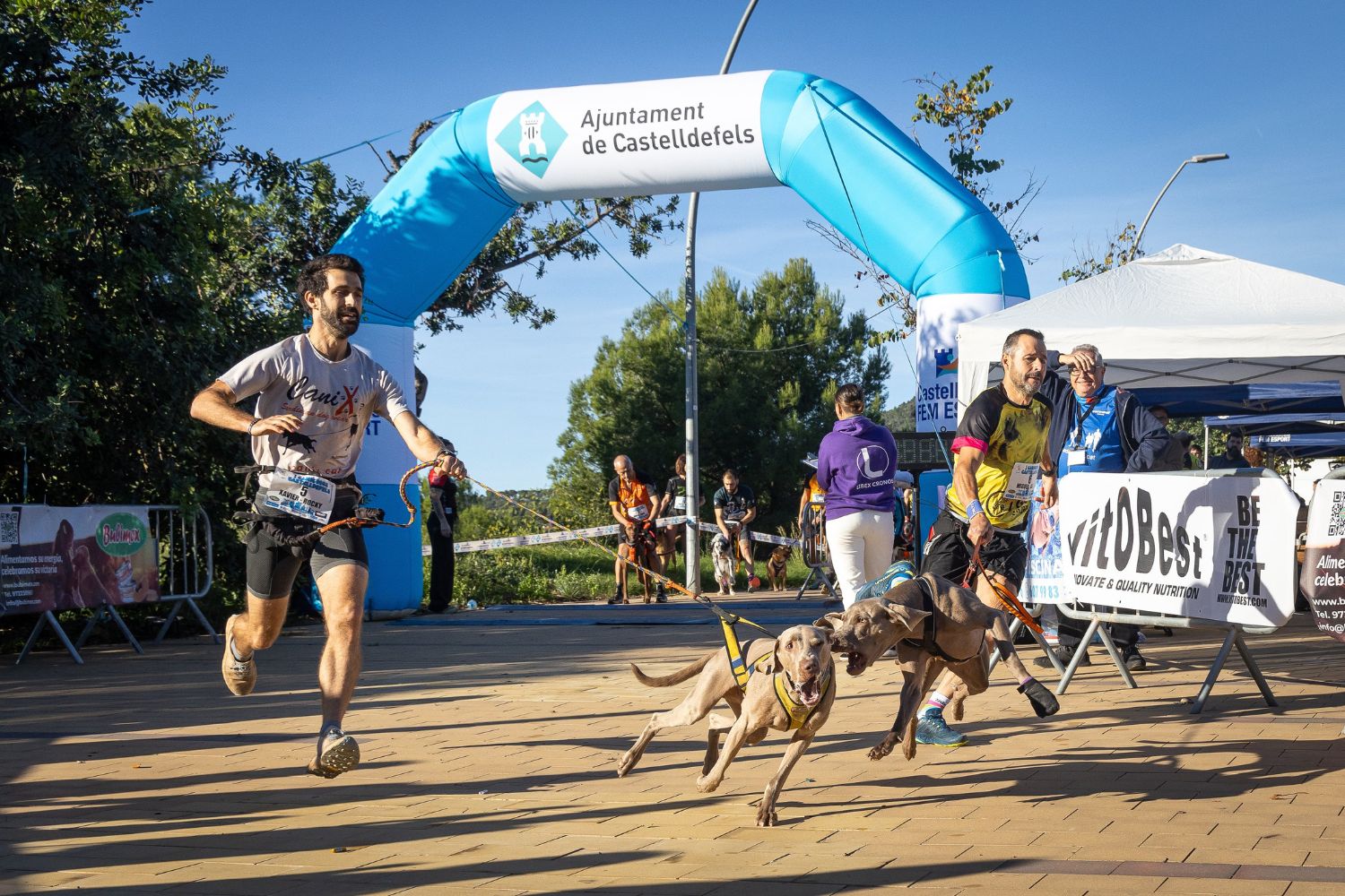 Brasileiro conquista mundial de canicross — e a história por trás do título é ainda mais impressionante
