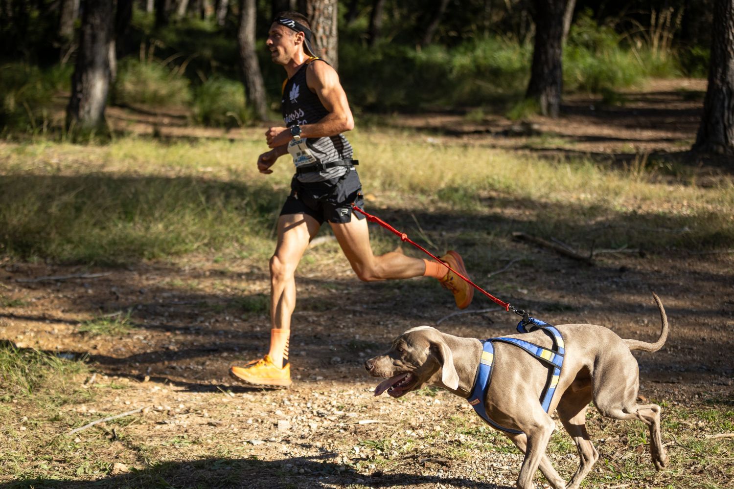 Brasileiro conquista mundial de canicross — e a história por trás do título é ainda mais impressionante