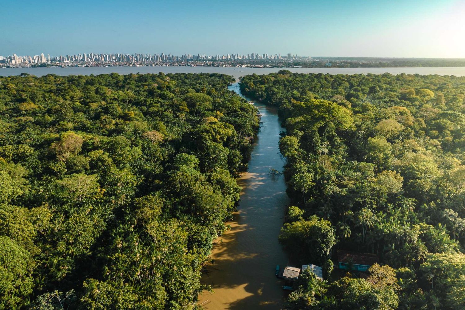 Alerta na COP30: cientista teme nova pandemia ligada à Amazônia