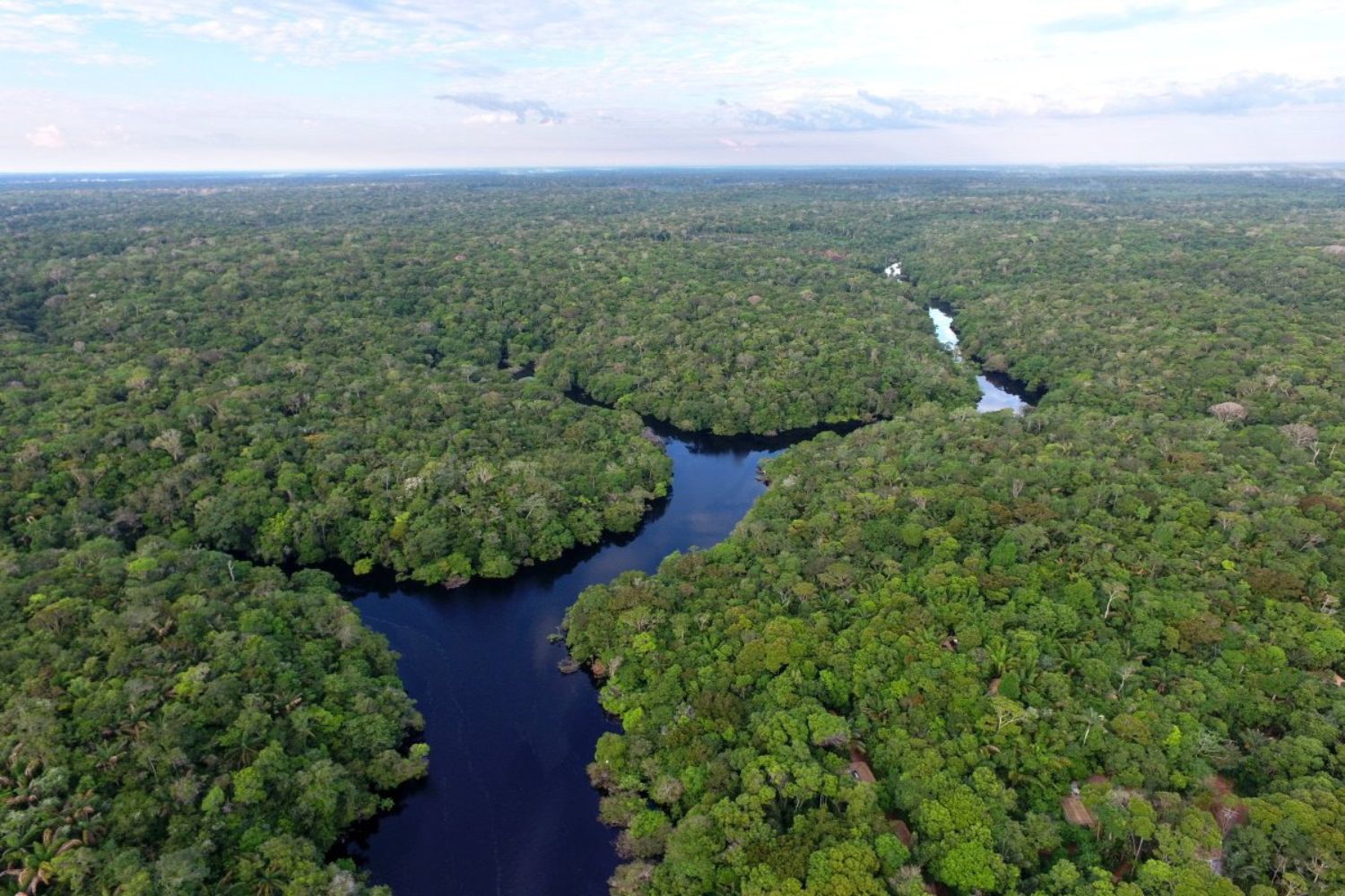 Colômbia vira o primeiro país da Amazônia livre de petróleo