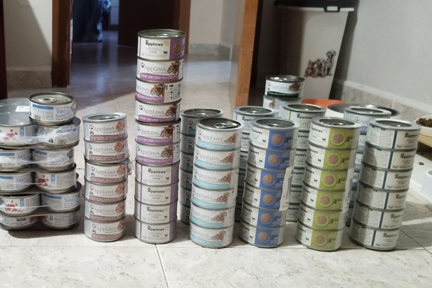 Lata de salmão vencida há 50 anos revela segredo dos oceanos