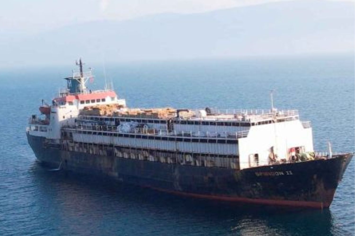 Navio com 3 mil vacas à deriva expõe crise sanitária após veto da Turquia