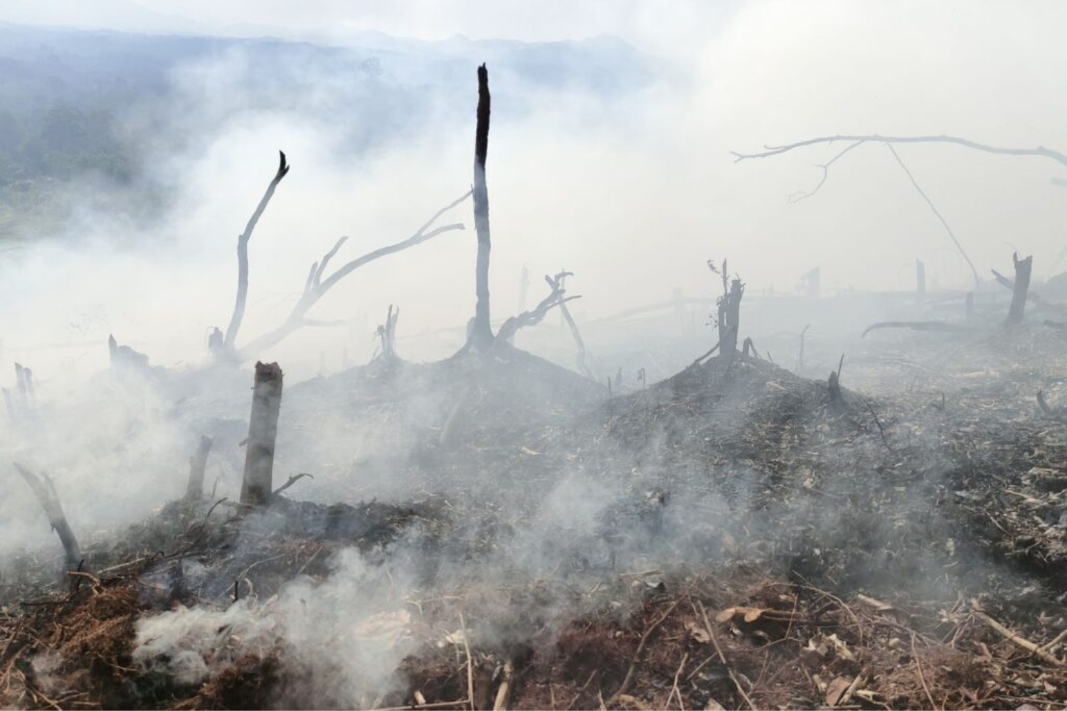 Projeção Climática1