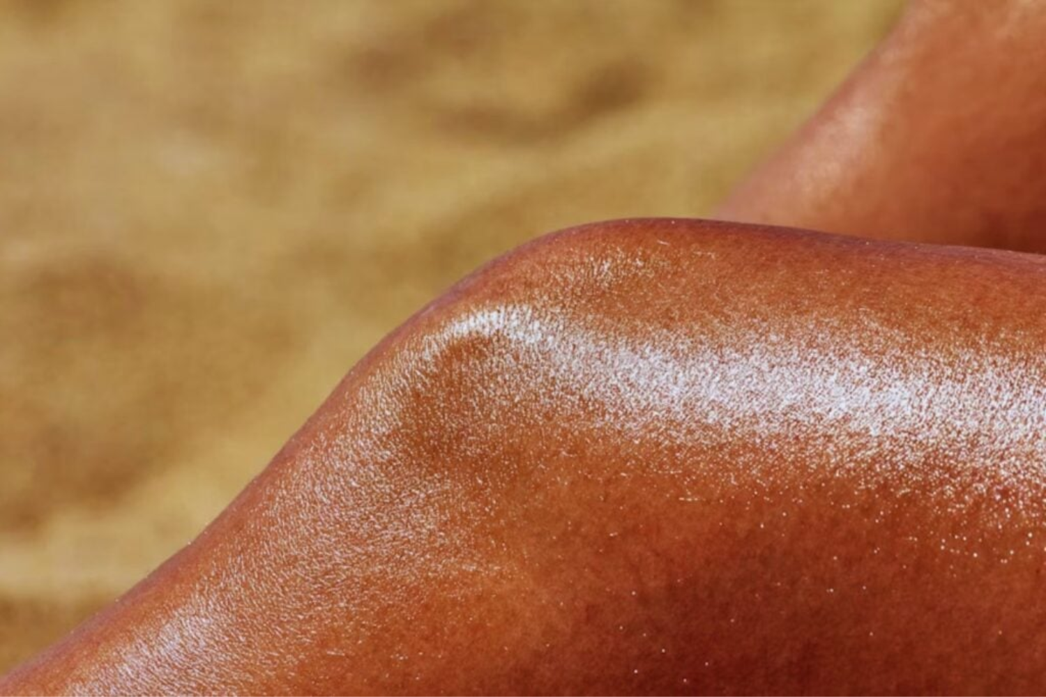 Receptores ImunitáriOS