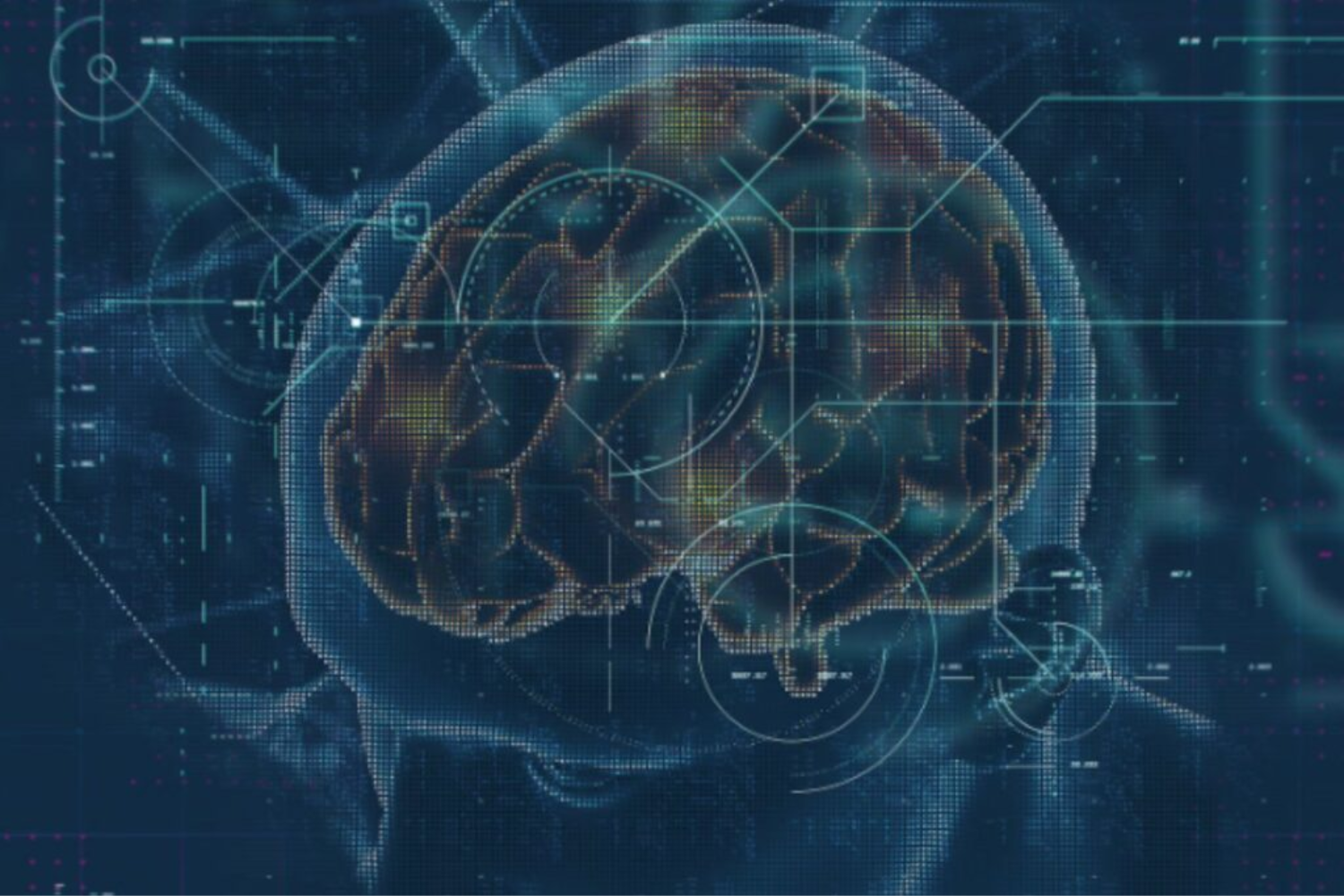 Segredo Do Cérebro3