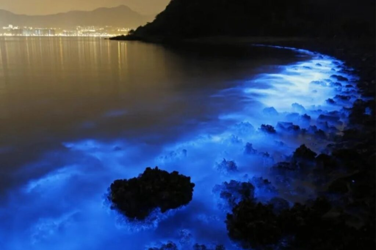 Bioluminescência1
