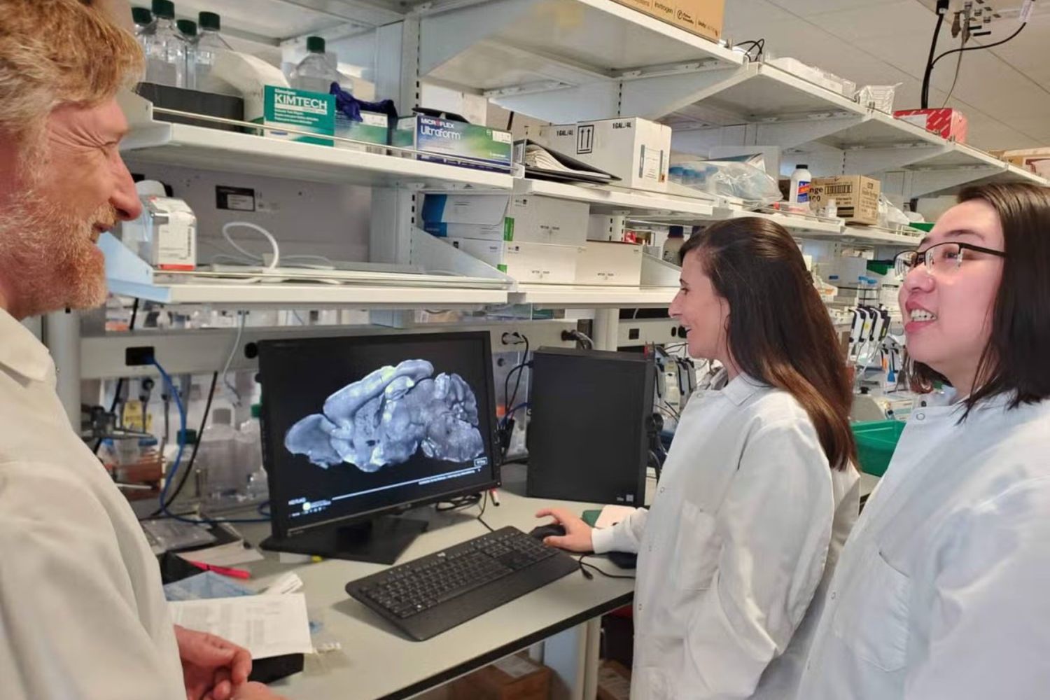 Pesquisadores quebram mistério sobre como o cérebro processa sinais