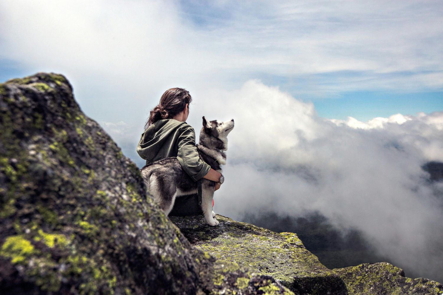 Por que filmes com cachorro fazem a gente chorar mais