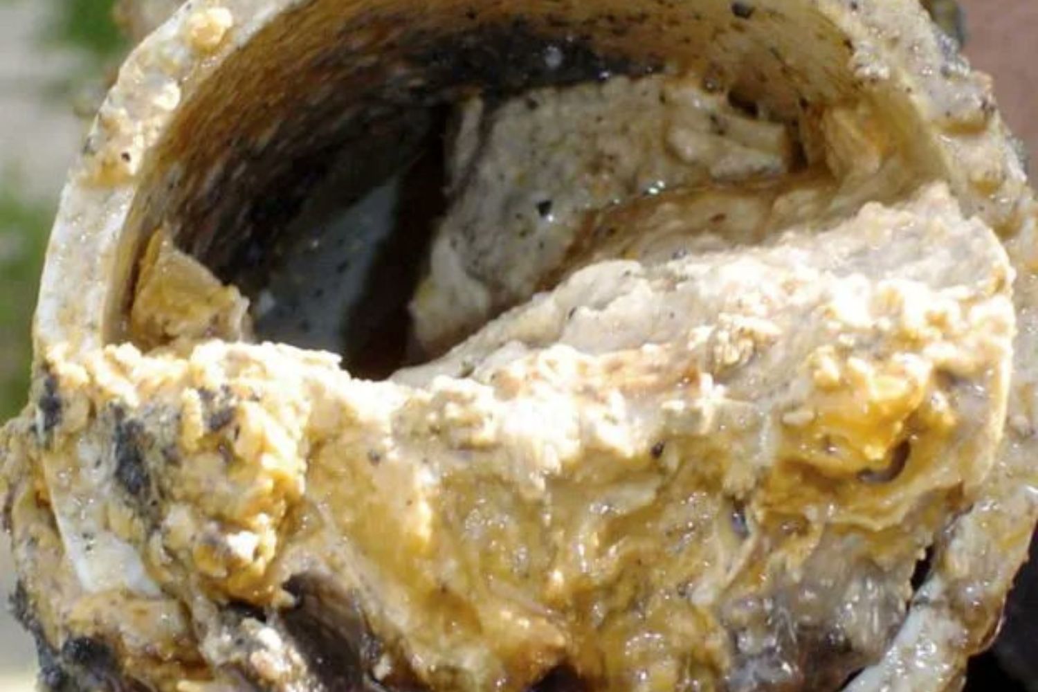 Iceberg de gordura de 100 toneladas entope esgoto de Londres