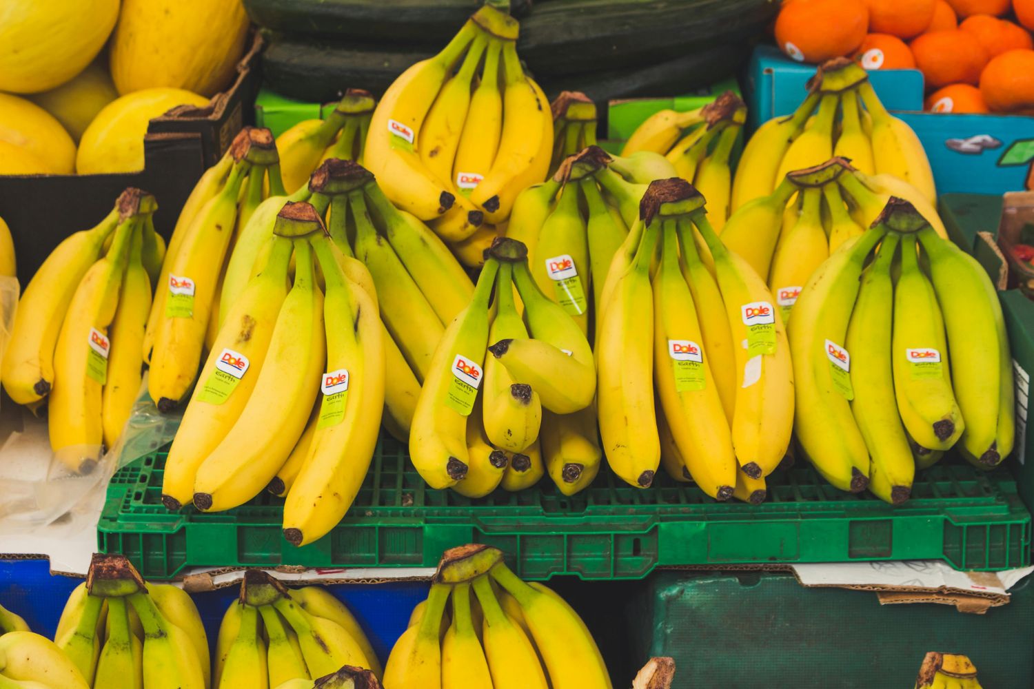 O país que domina o mercado mundial de bananas e dita preços