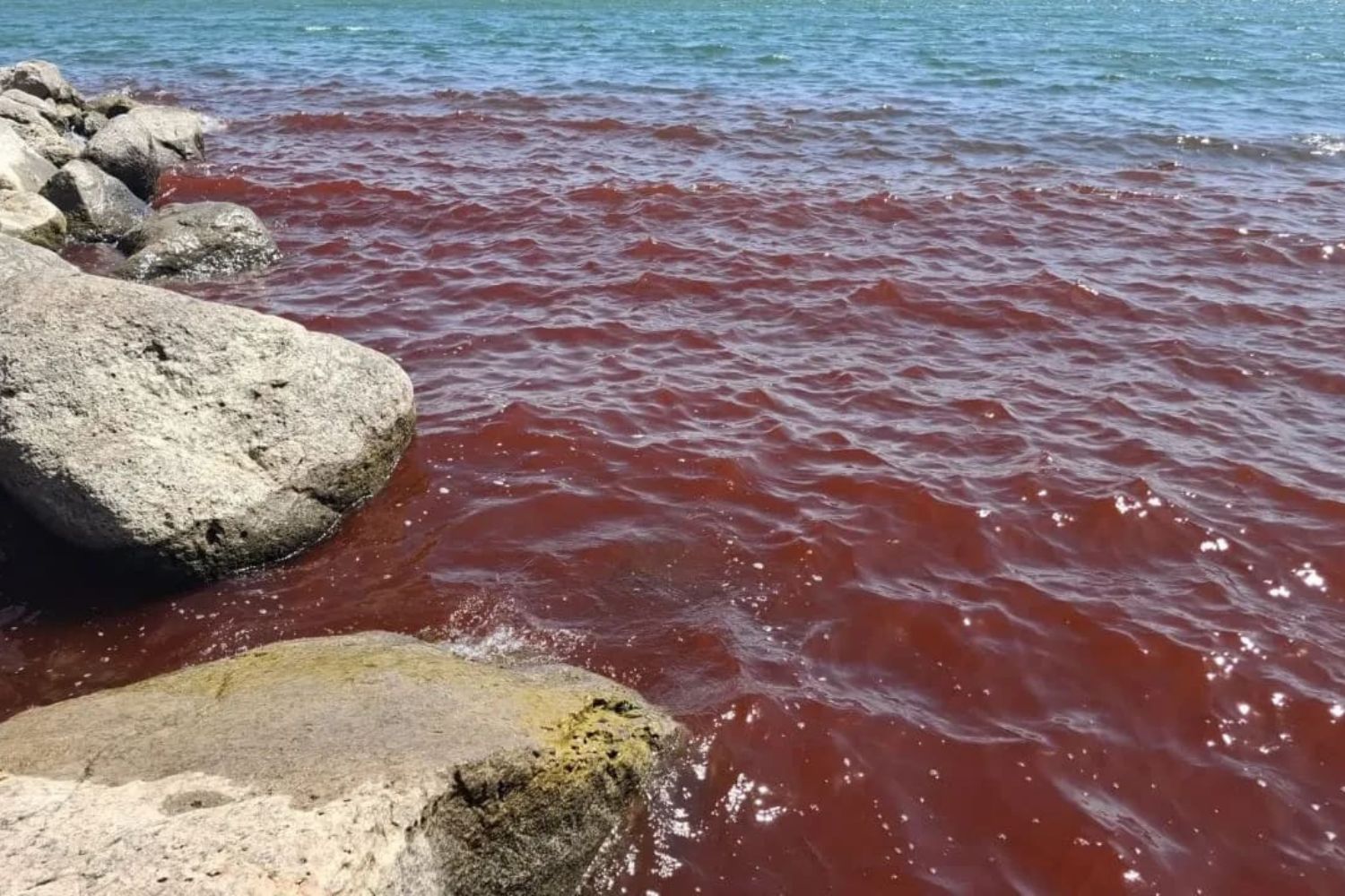 Transformação do Mar da Galileia levanta novas especulações sobre sinais do fim da humanidade