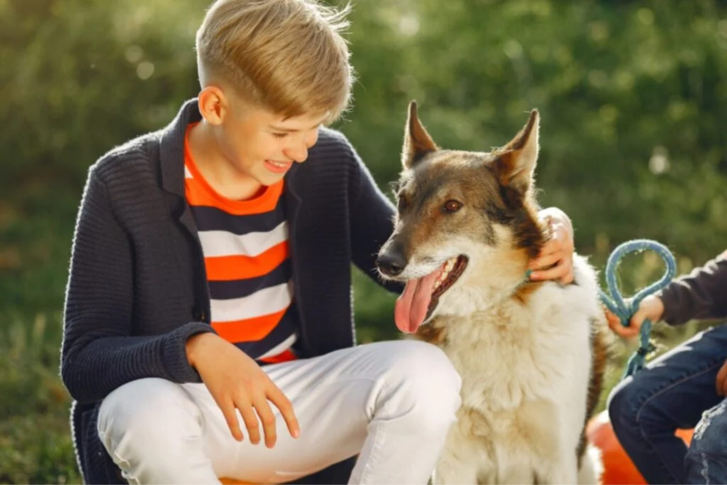 Cães Na Adolescência1