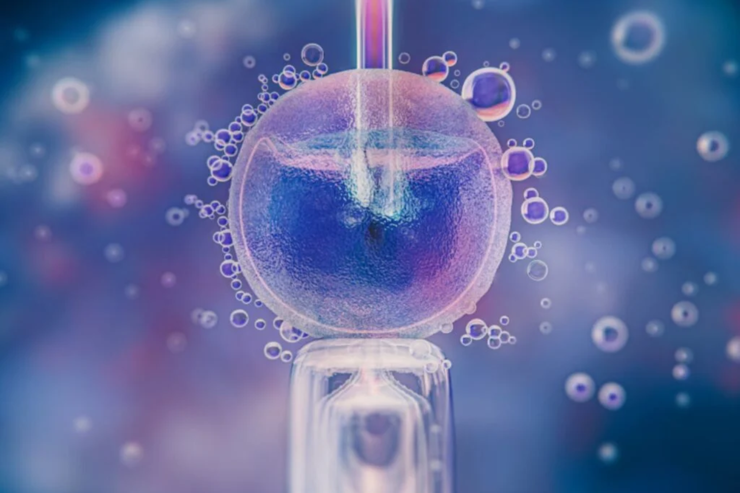 Gestação — Fora Do útero