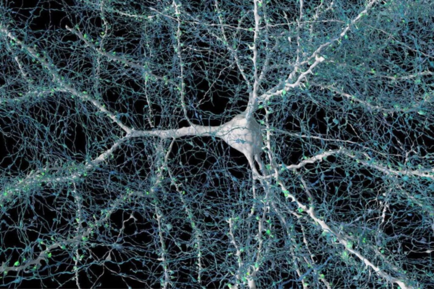 Ondas Cerebrais