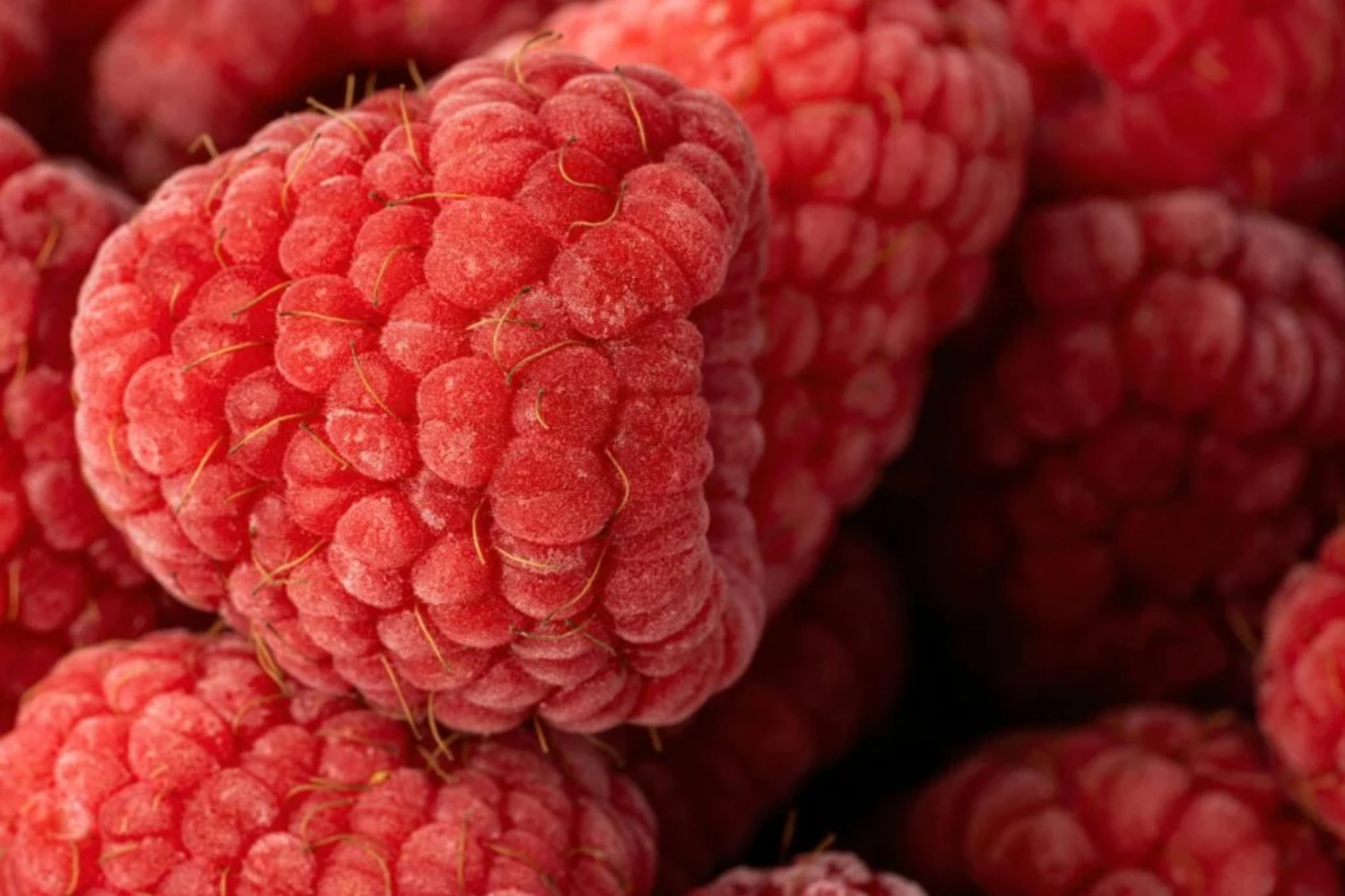 Saúde Cardiovascular2