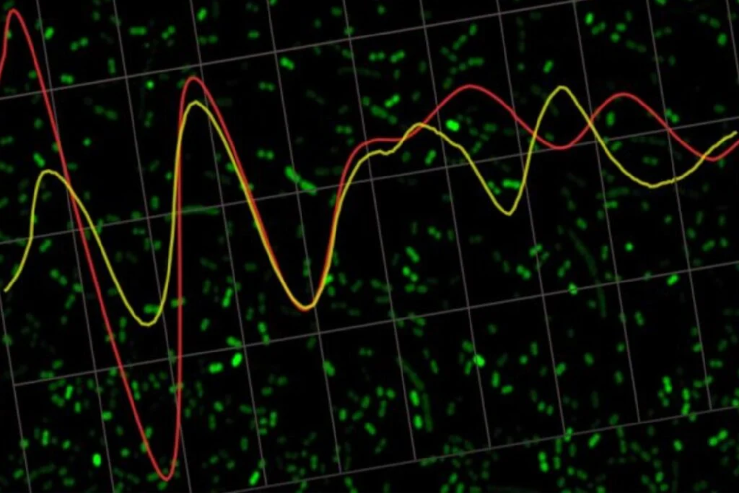 Superbactéria Hospitalar