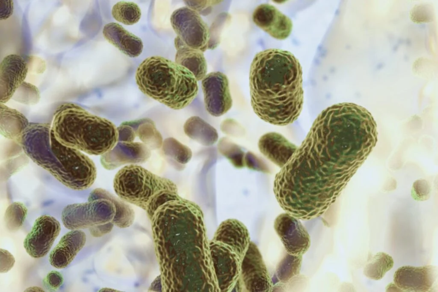 Superbactéria Hospitalar1