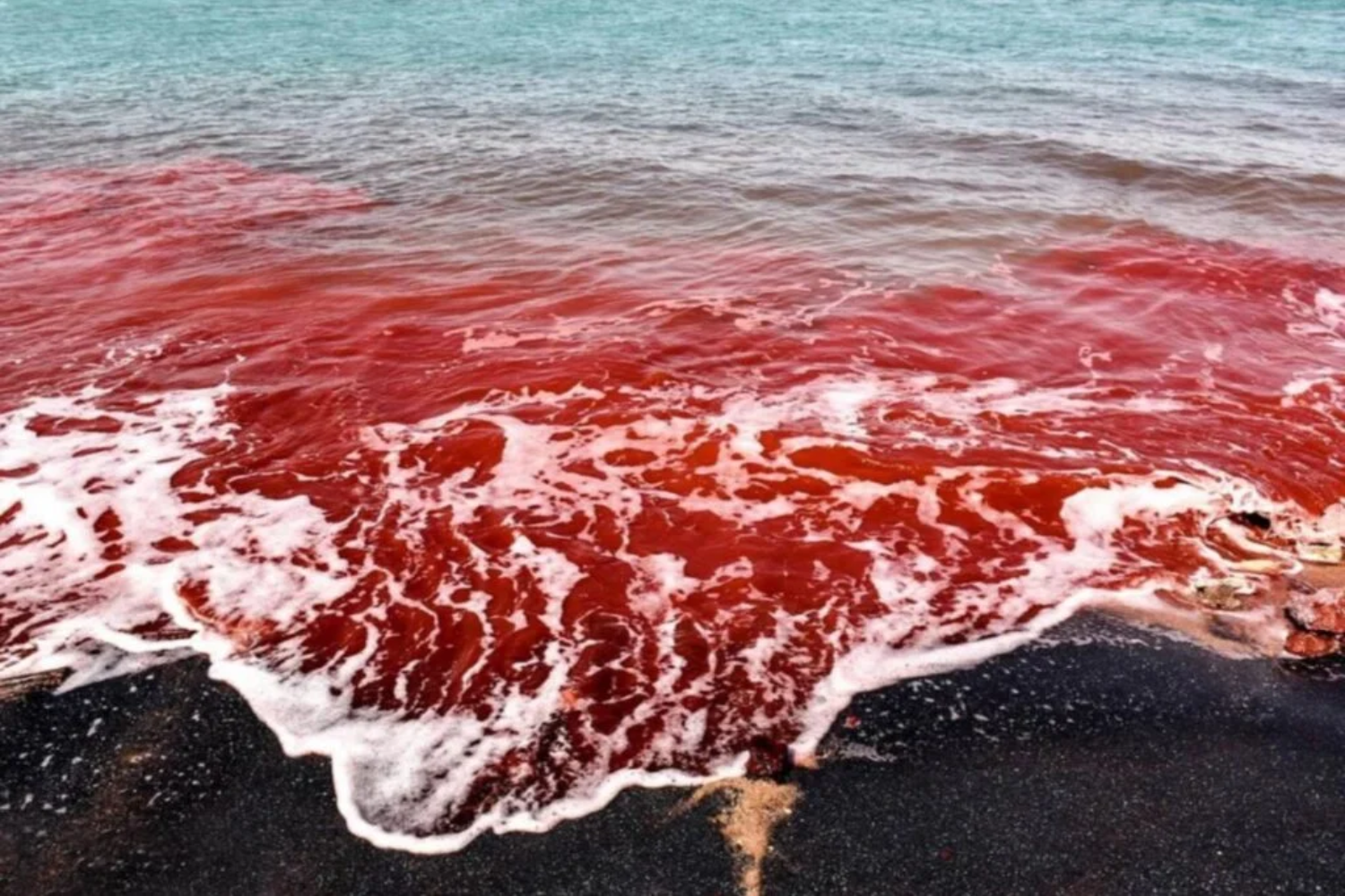 Tinge O Mar De Vermelho