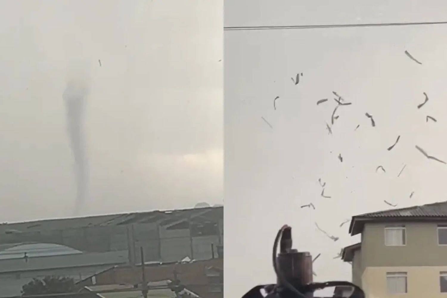 Tornado no Paraná: como ventos de 180 km/h transformaram São José dos Pinhais em cenário de destruição em poucos minutos