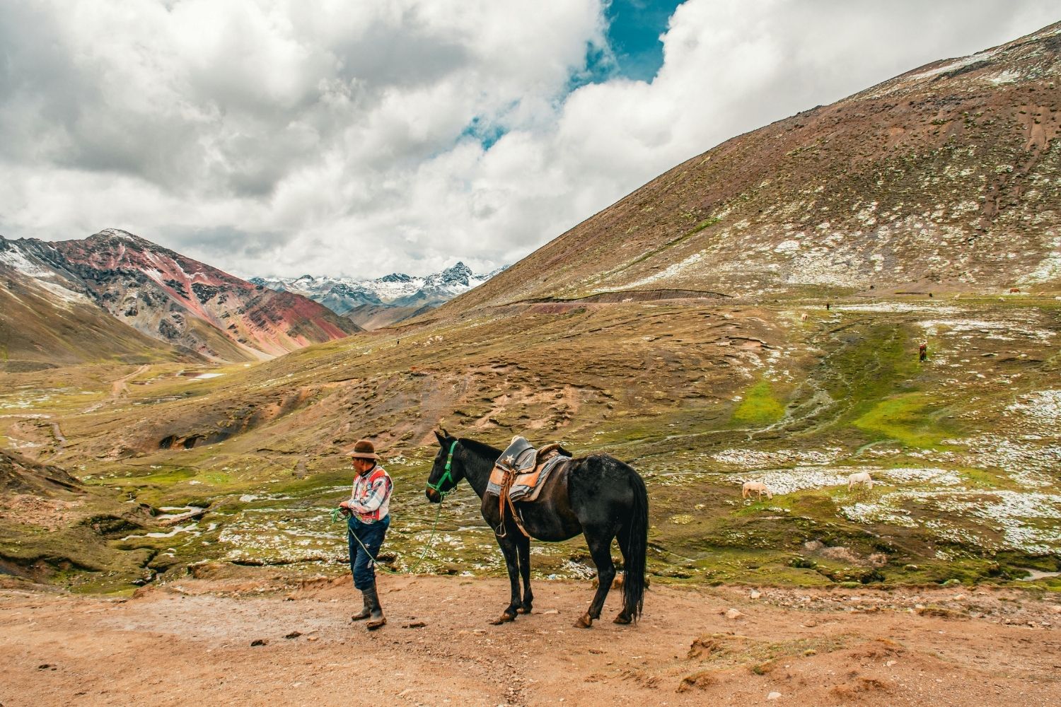 Um estudo recente revela que cavalos conseguem perceber o medo humano apenas pelo cheiro