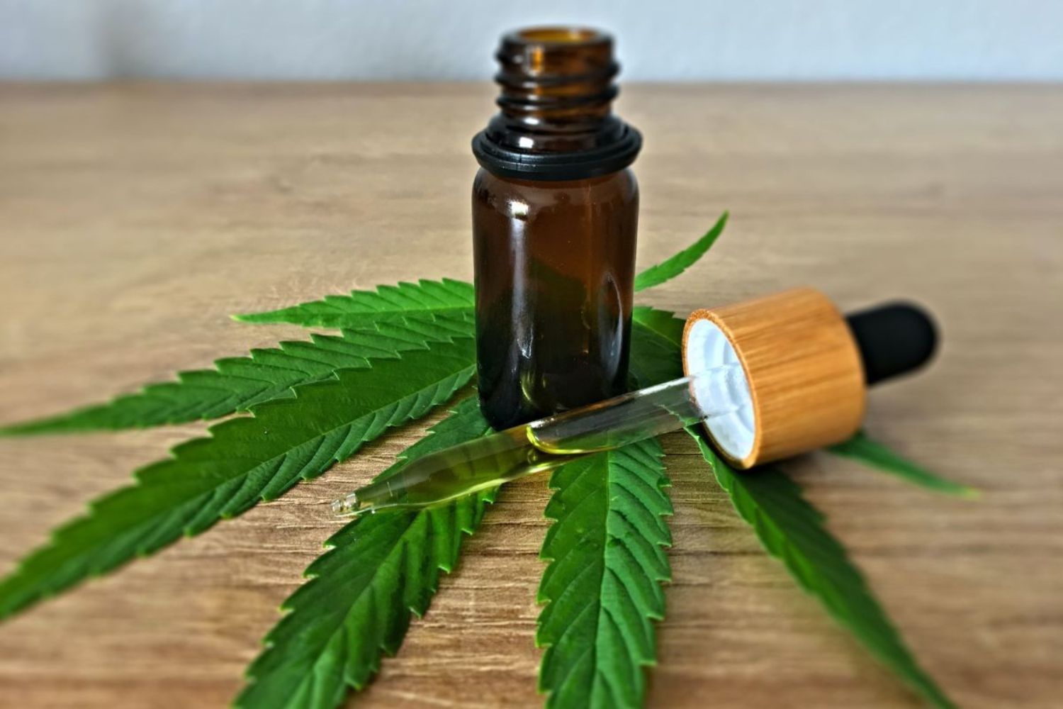 A decisão que pode mudar o futuro da cannabis medicinal no Brasil já está na mesa