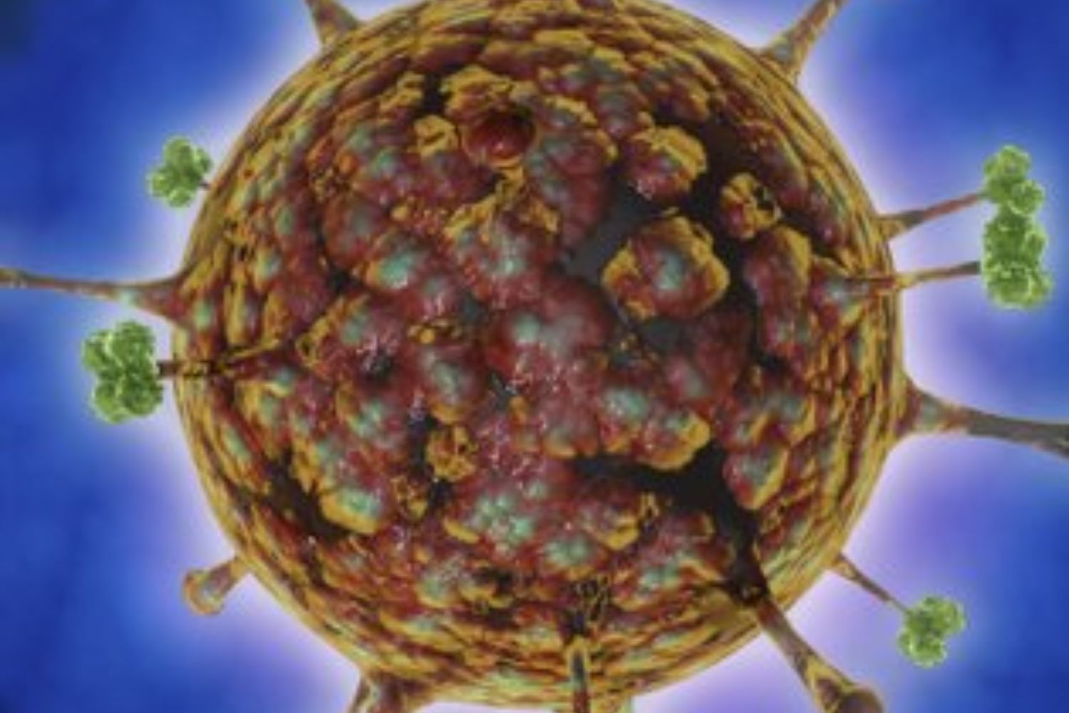 Por que o vírus Nipah não representa uma nova ameaça para o Brasil