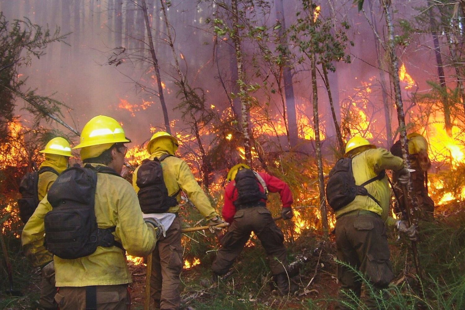 Enquanto incêndios se espalham por diferentes regiões da Patagonia Argentina, cortes orçamentários levantam dúvidas sobre a capacidade de resposta do país