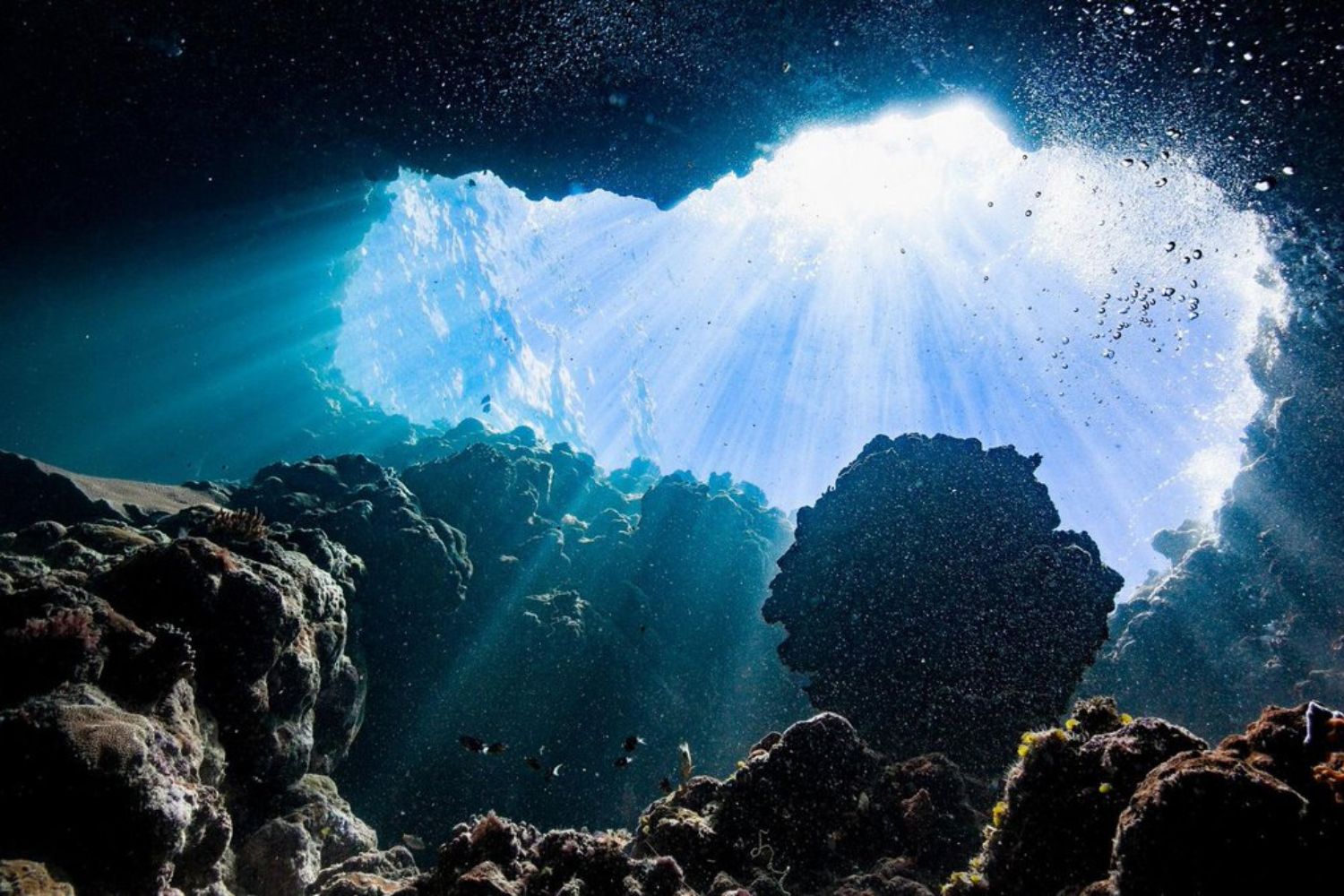 O mistério do oxigênio que nasce na escuridão do oceano