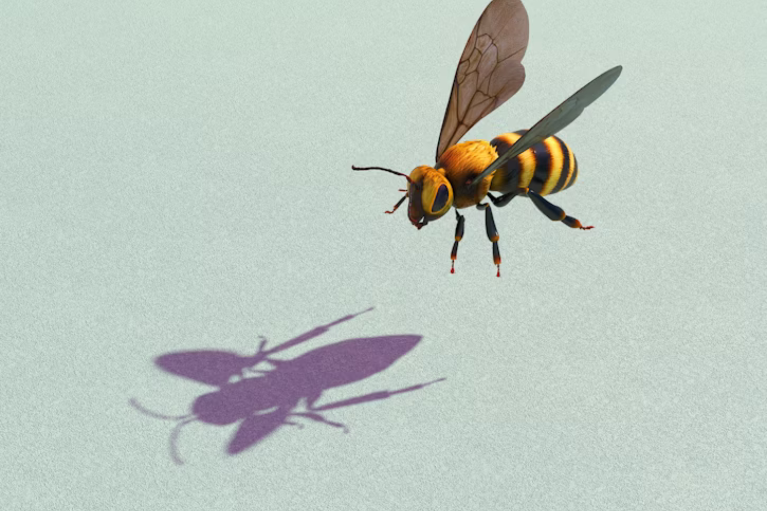 Abeja