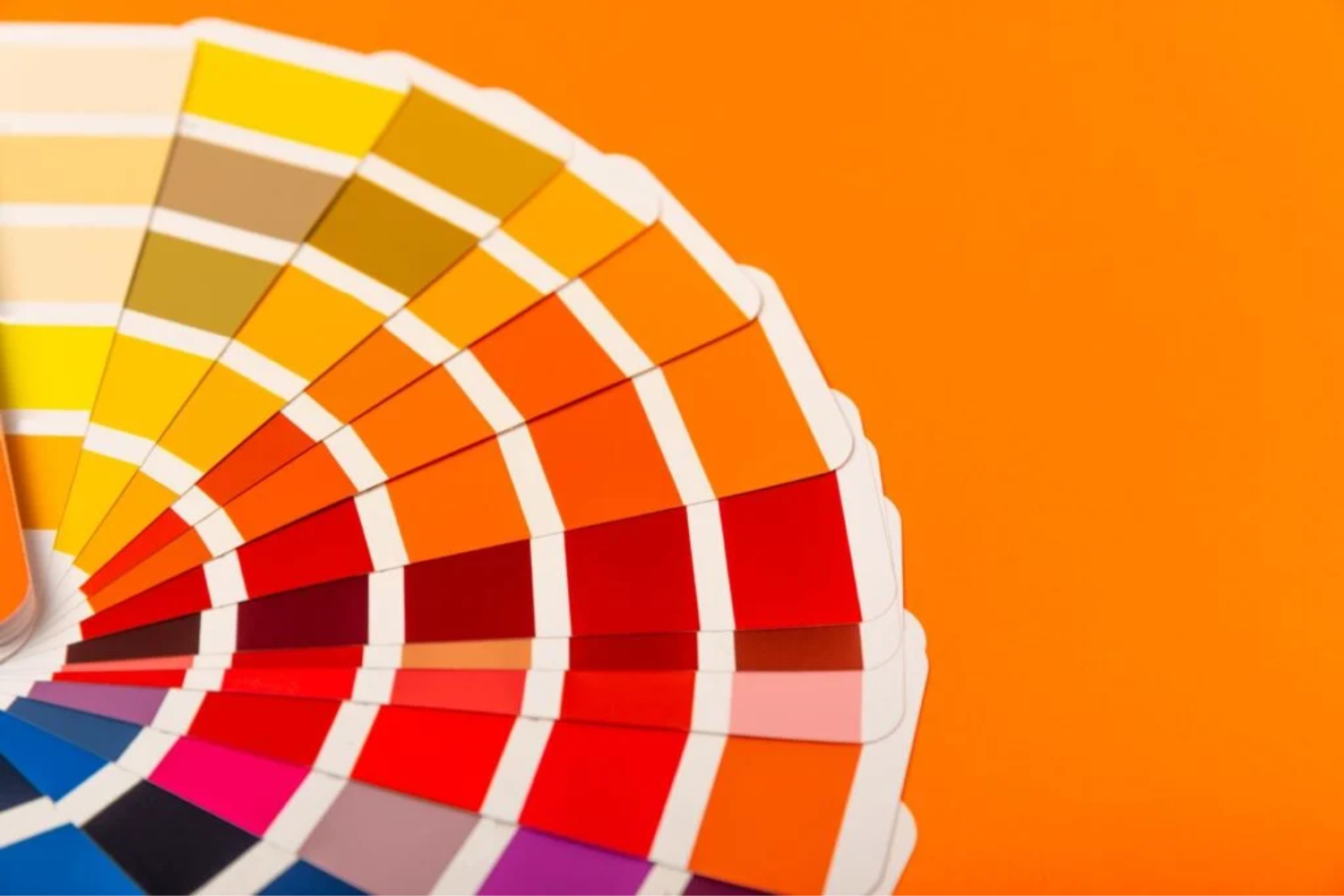 Cores Revelam1