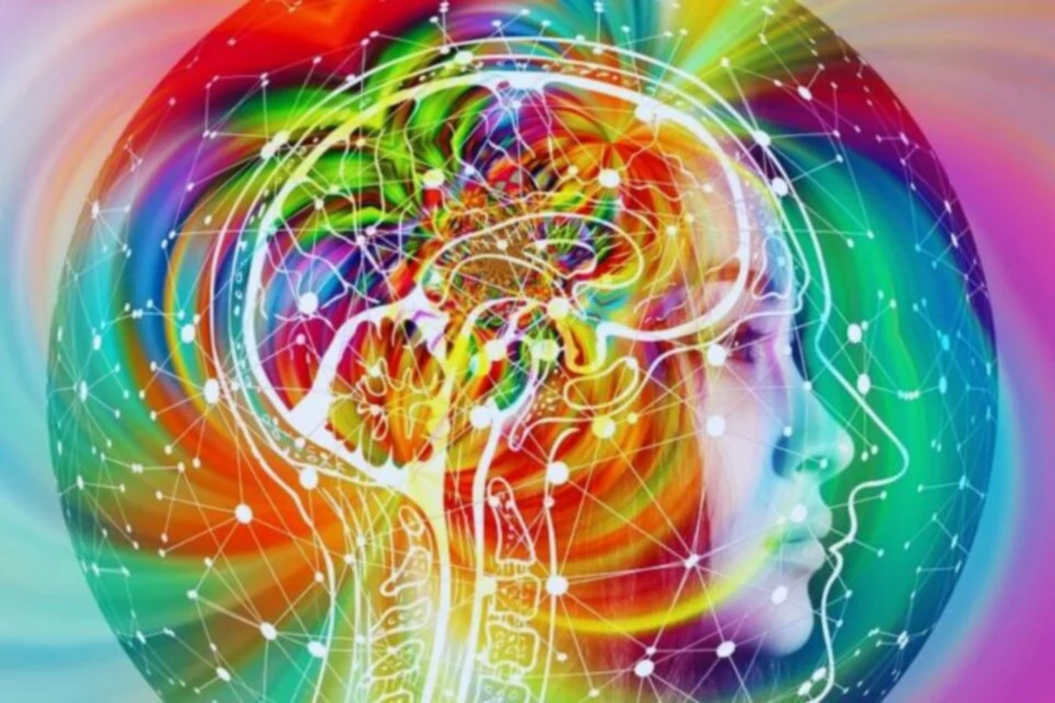 Decifrar A Memória Humana