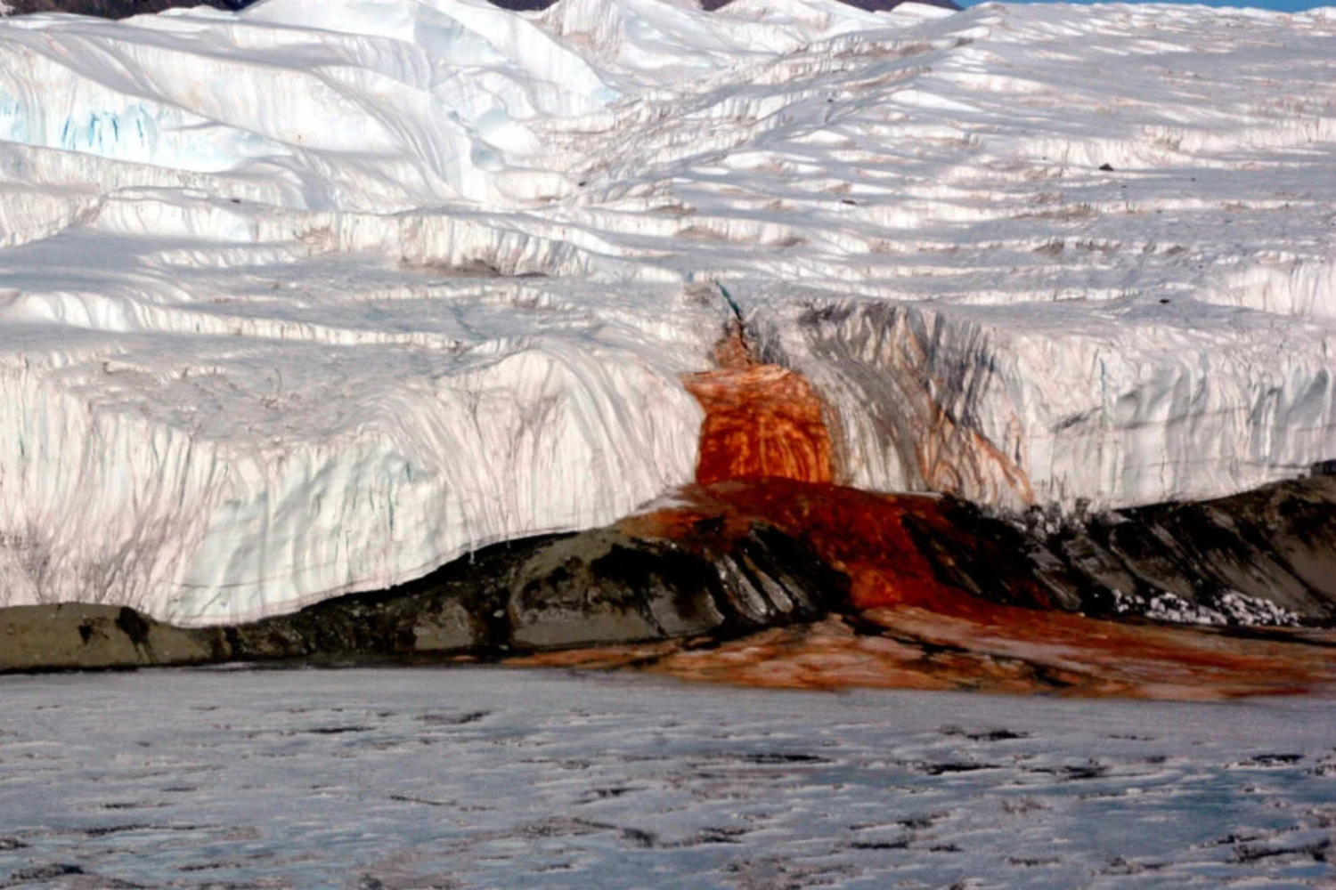 Blood Antartica