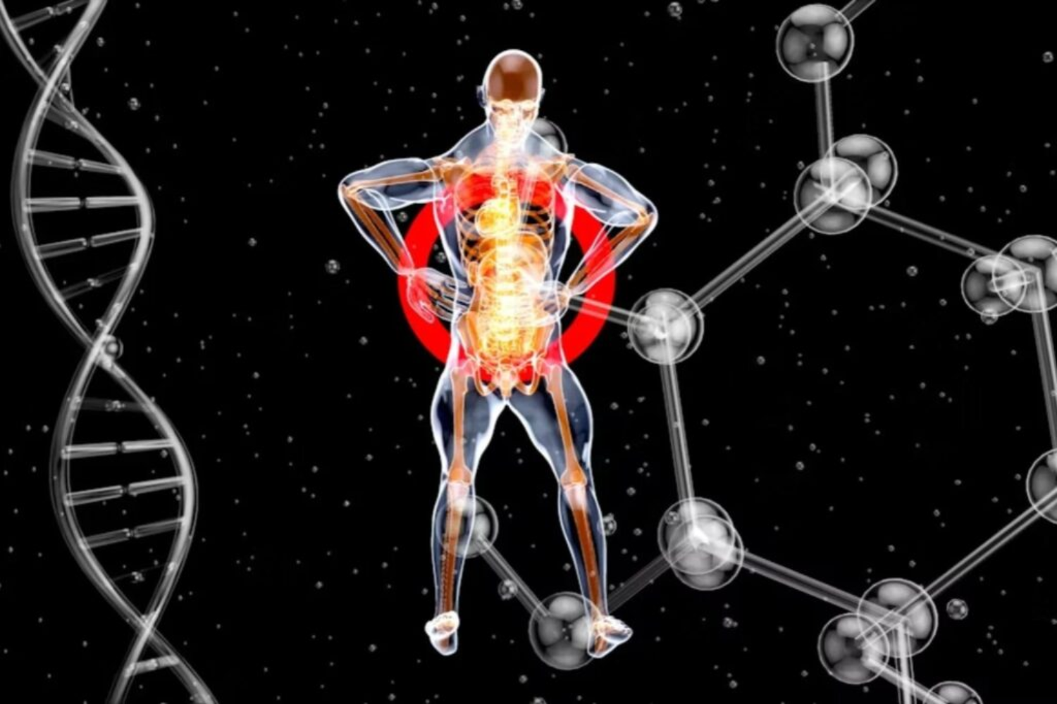 Genética, Longevidade E Envelhecimento1