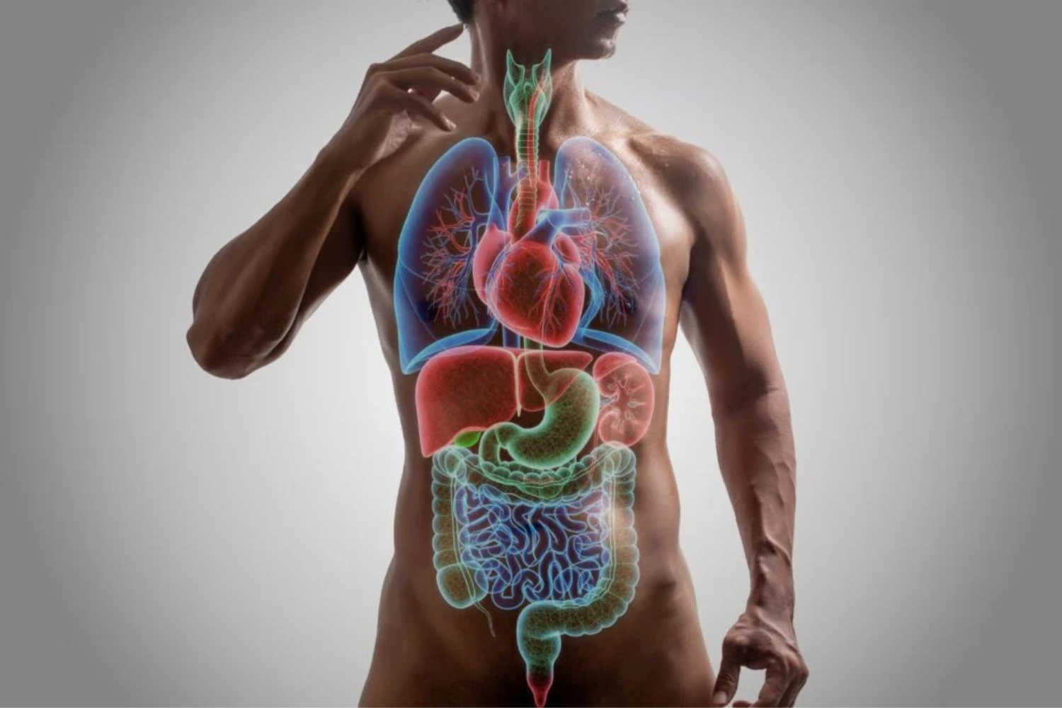 Idade Biológica, Proteômica E Medicina Preventiva1