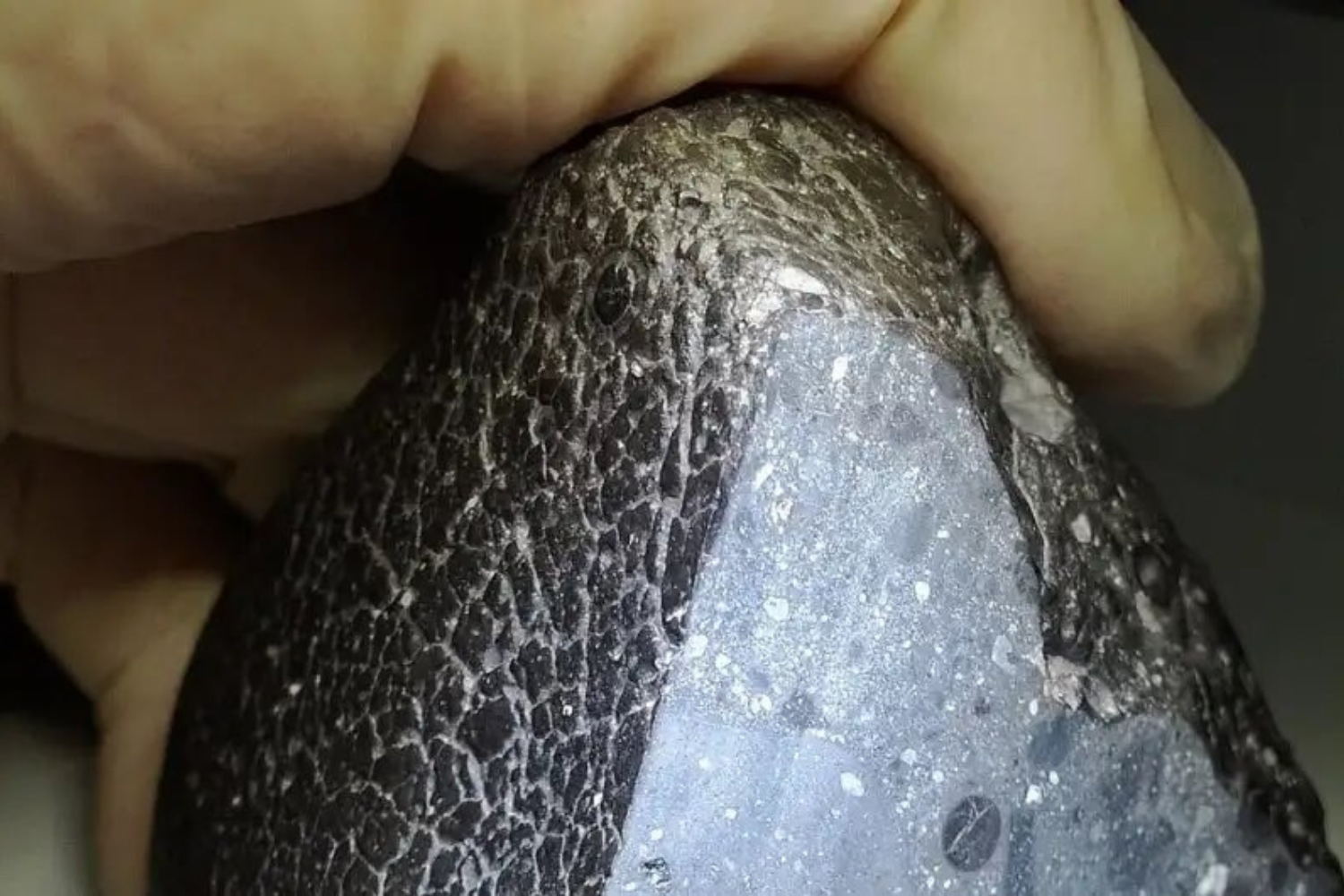 Marte Pedra
