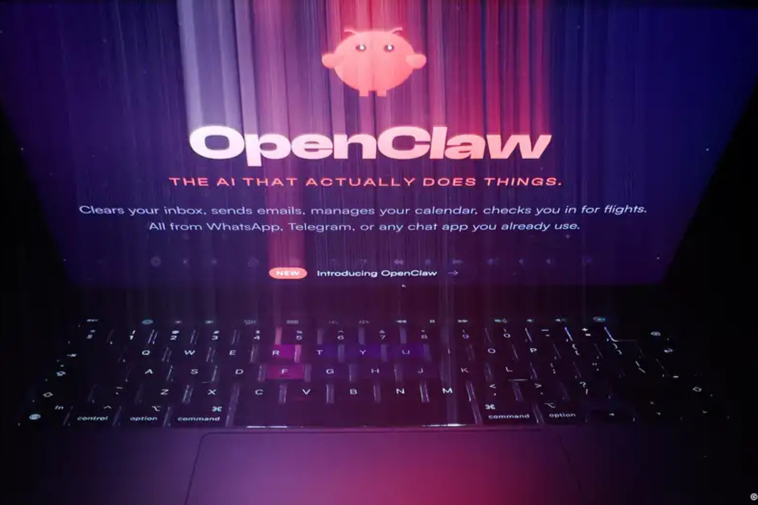 Openclaw